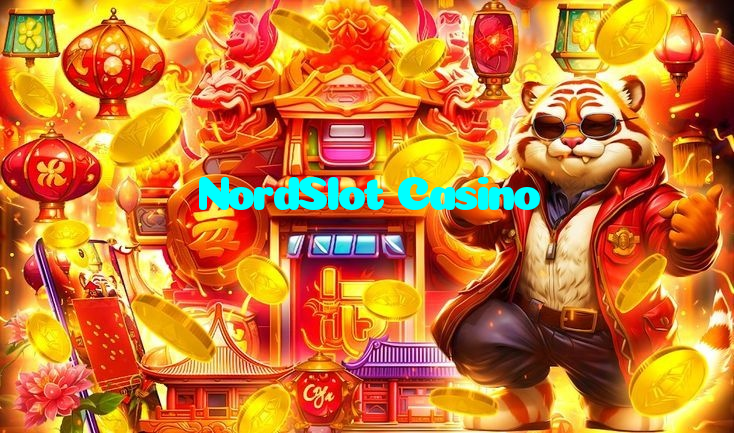 available types of NordSlot Casino bet including pre-match live express and system bets